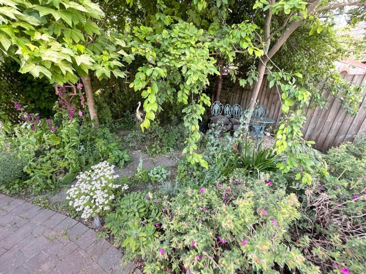 Large 4 Bedroom Home With Garden And Free Parking CBG Exteriör bild